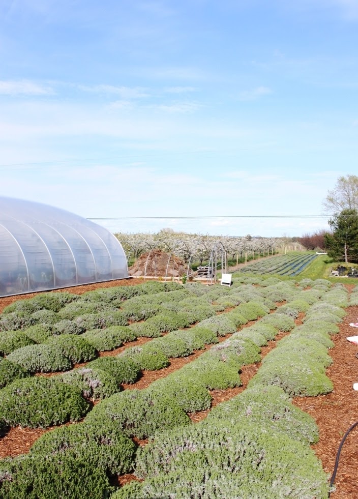 land of honey 25 Scriptures That Will Make You Want to Garden