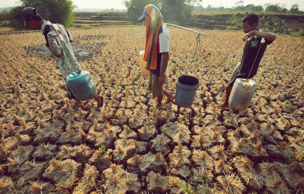 6 Macam Bencana Alam yang terjadi di Indonesia PR Sekolahku