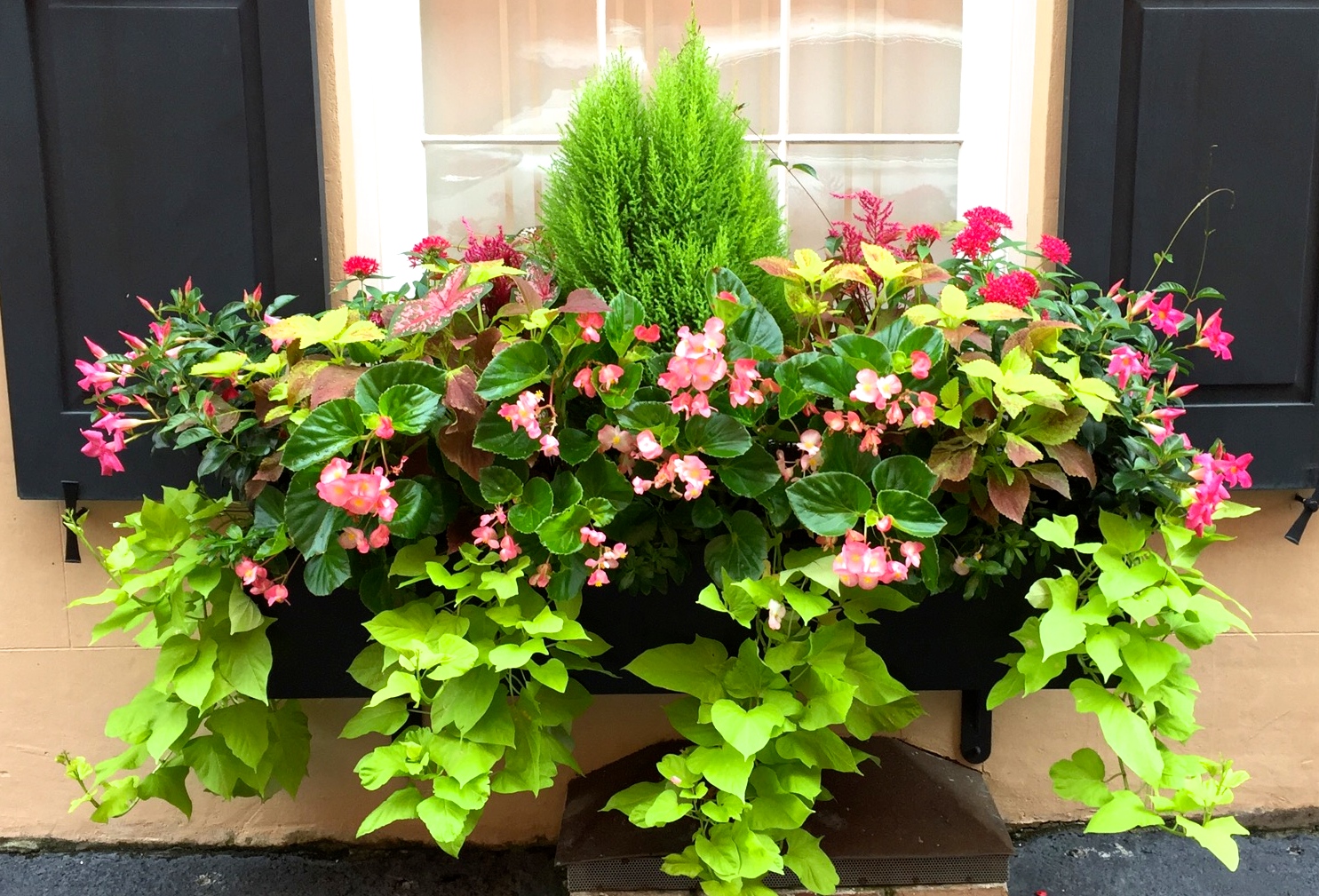 JLL DESIGN: Window Box Ideas & More Garden Inspirations
