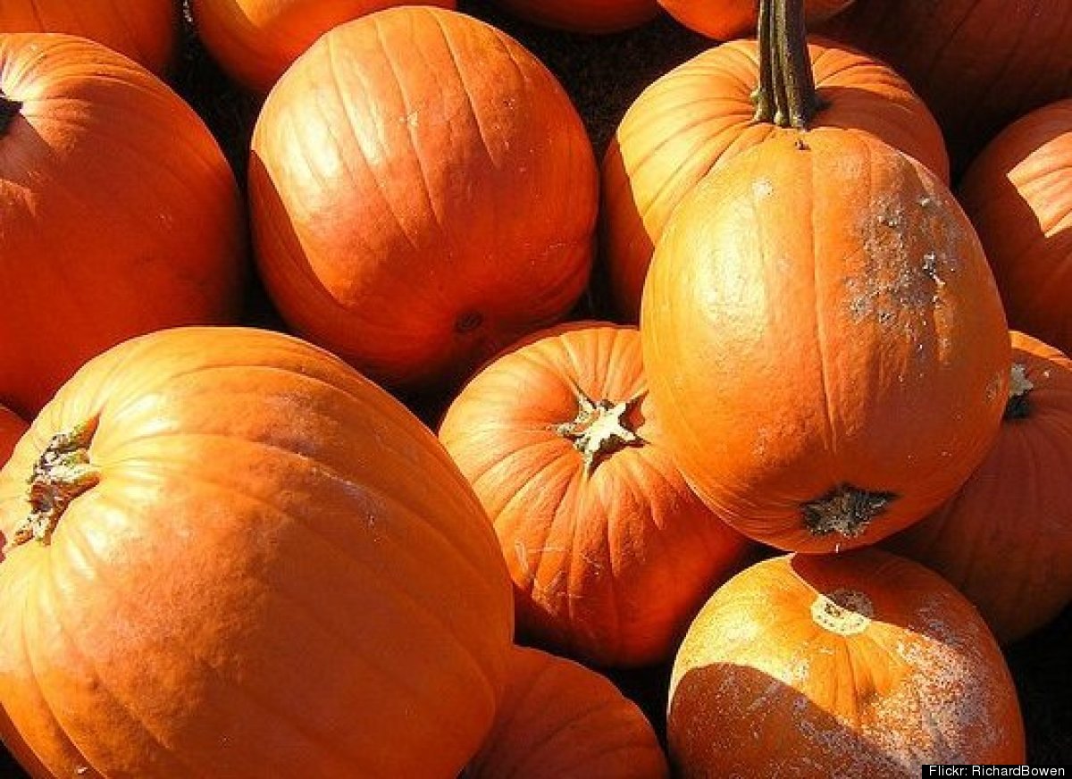 Latest News On Real Estate Property Investment Selling Buying Homes Travel Vacation