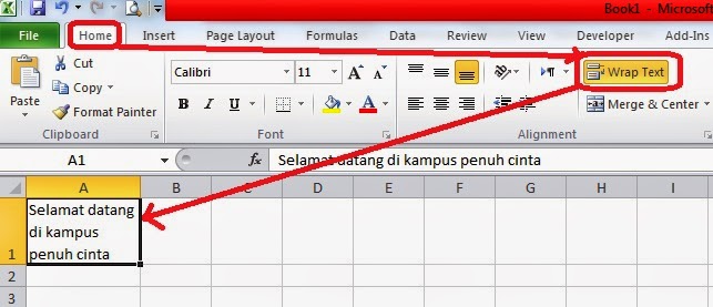 Cara Mengetik Teks Lebih Dari Satu Baris Dalam Satu Cell Menggunakan