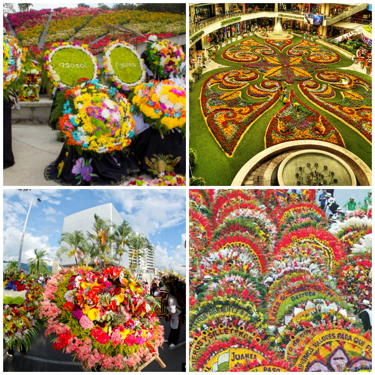 COLOMBIA PARAISO TURISTICO FERIA DE LAS FLORES EN MEDELLIN
