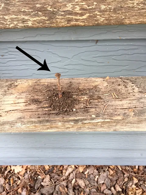 Photo of a nail pounded into a ladder rung