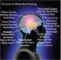 whole brain teaching, WBT, does whole brain teaching work, how does whole brain teaching affect the brain?