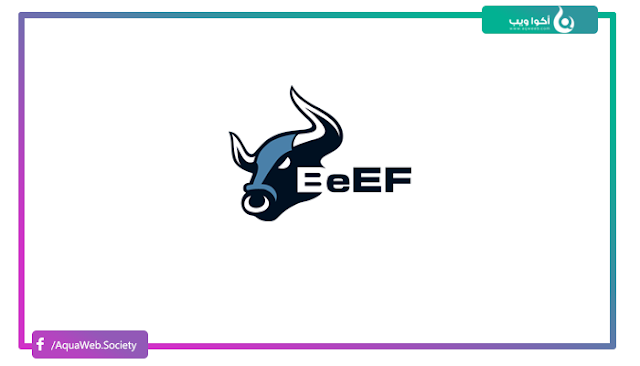 تعرف على BeEF ... واحدة من أقوى ادوات إختراق الويب بإستخدام الجافاسكربت (Browser Exploitation Framework)