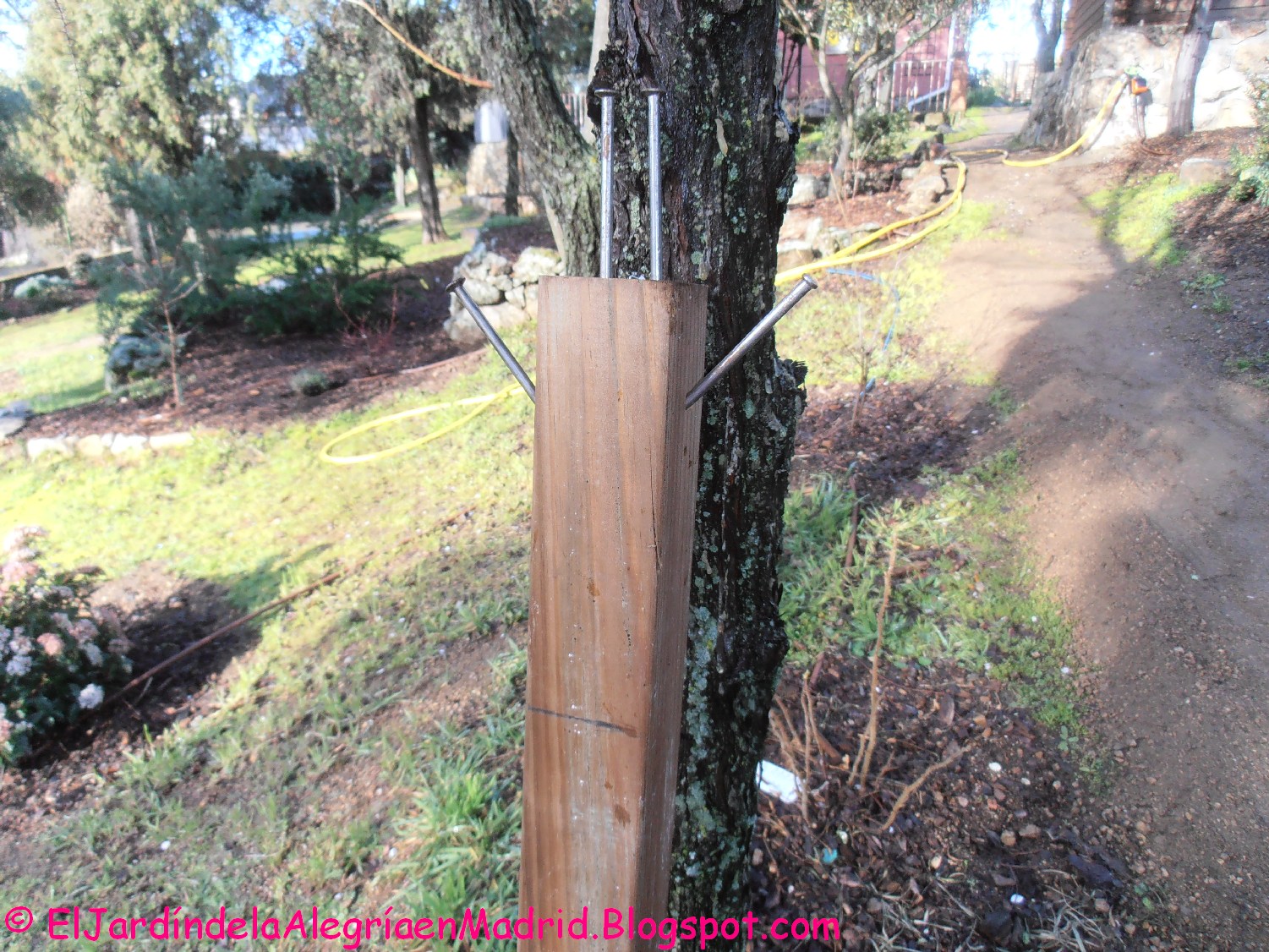 El jardín de la alegría : Instalación de una valla de madera en el