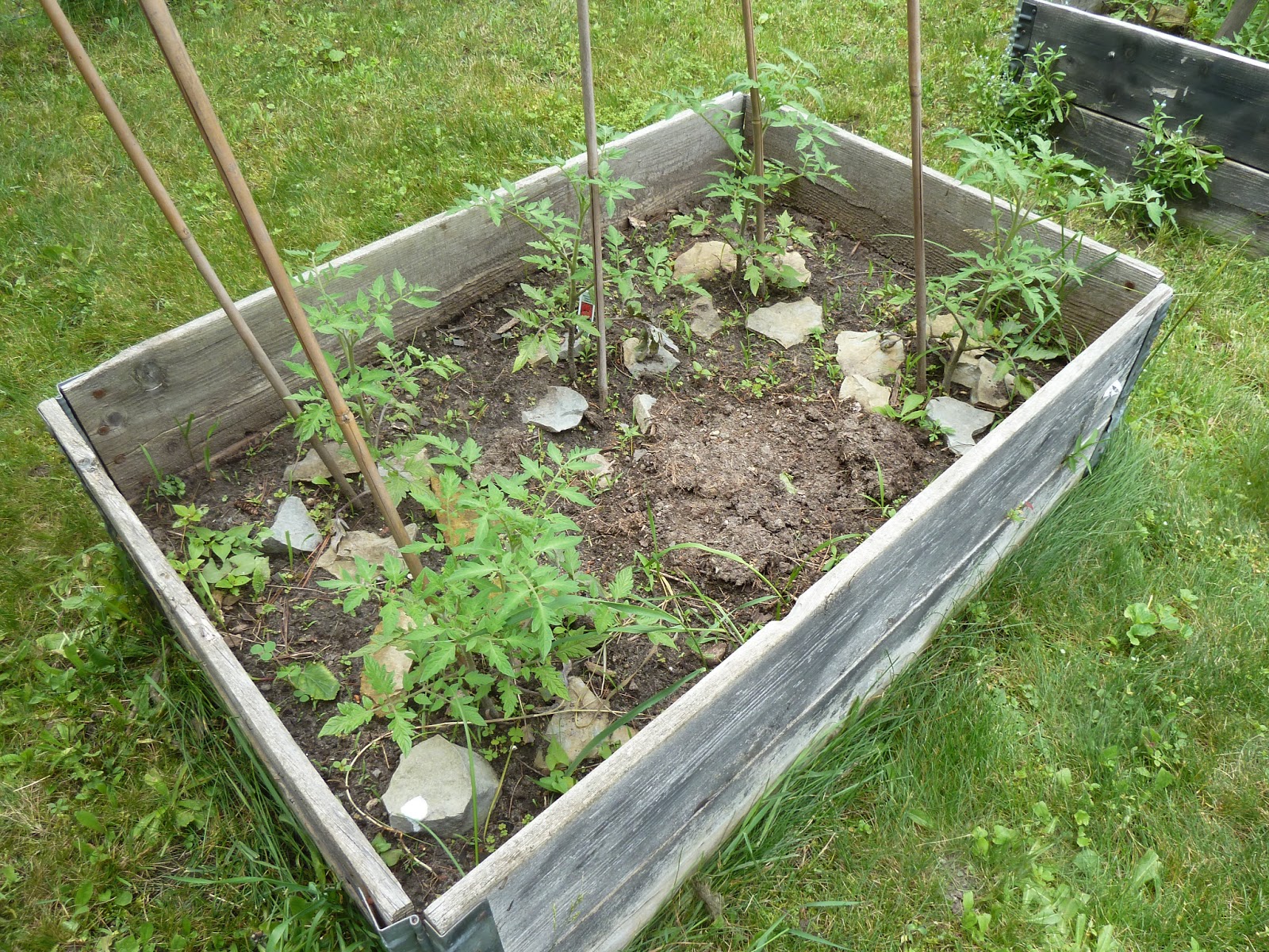 Marlene's Space: A Tale of Three Garden Boxes