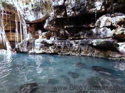 Cenotes Mexico Yucatan