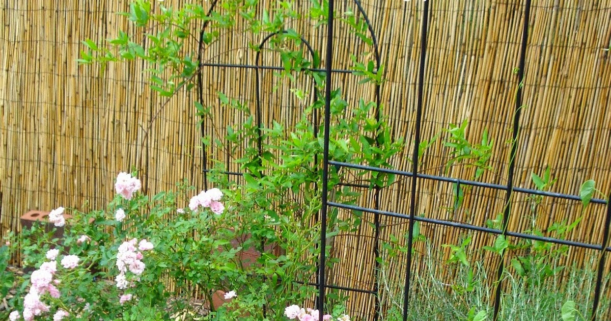 My Thrift Store Addiction DIY Reed Fence Upgrade