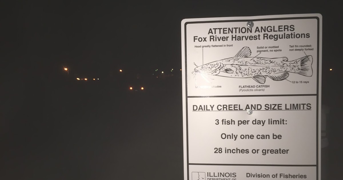 Misadventures in Catfishing Then and Now Catfish regulations in Illinois