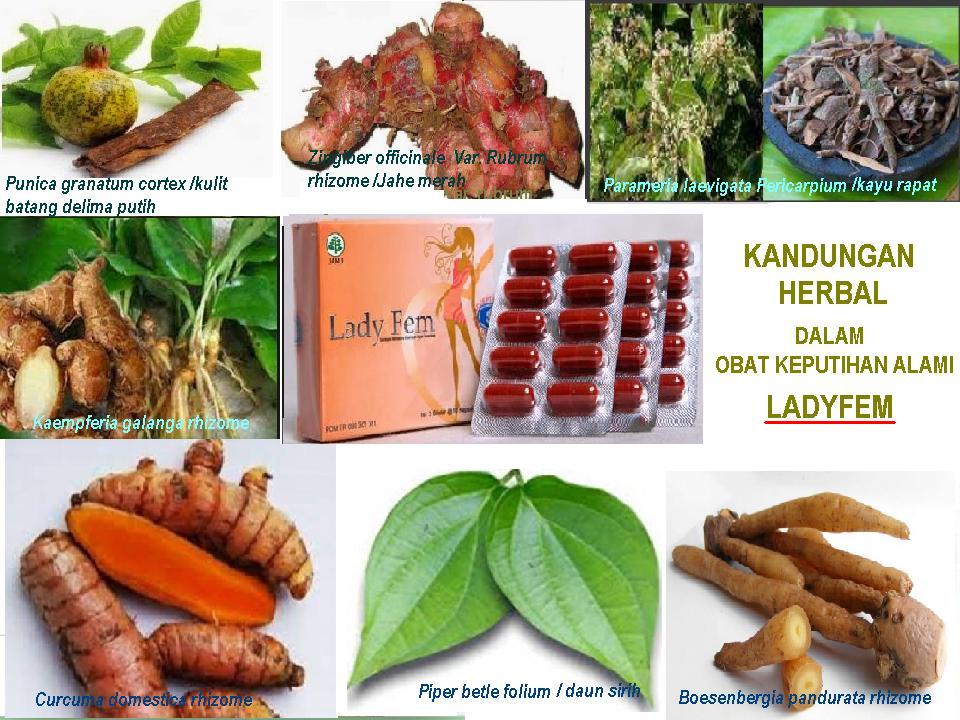 Obat Keputihan Alami-0813-2563-2143: 0813-2563-2143, Obat Keputihan