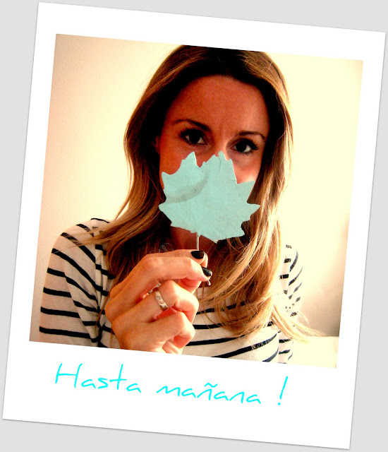 DIY PARA CENTRO DE MESA