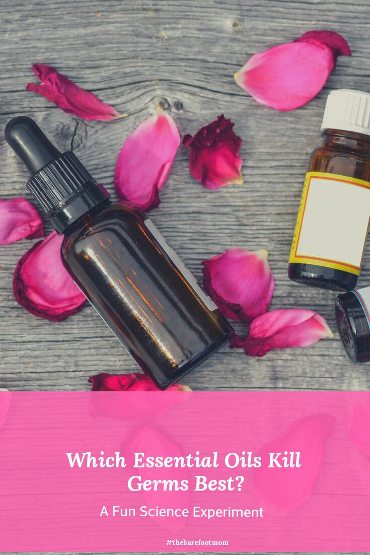 Which Essential Oils Kill Germs Best? A Fun Science Experiment