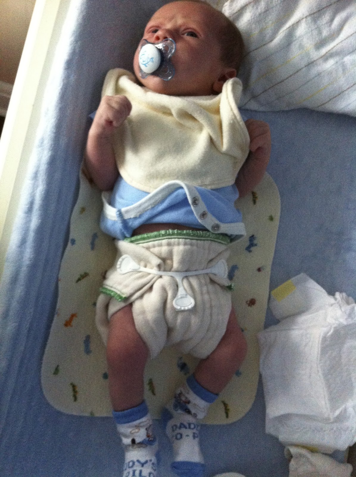 Oh, the places you'll go! Back to Cotton The Honest Truth about Cloth