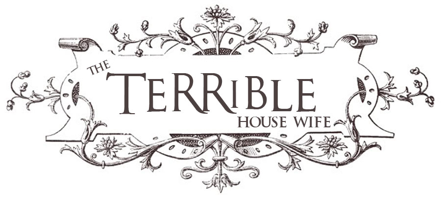 The Terrible House Wife