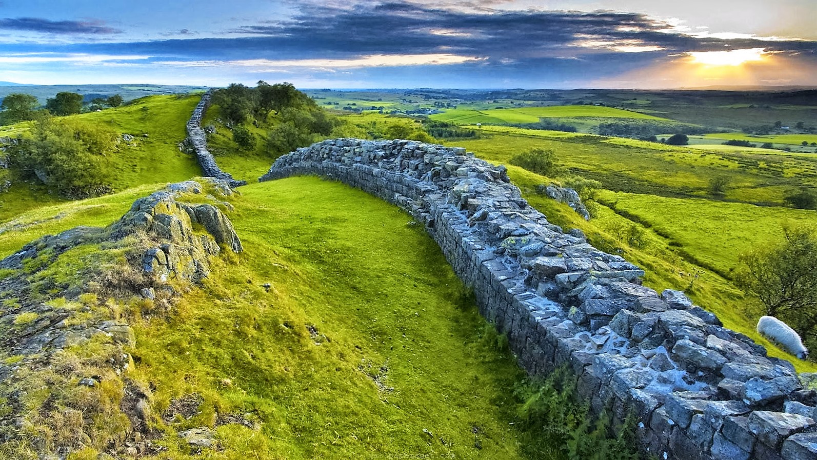 5five5 Hadrian's Wall (England)