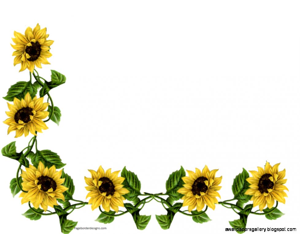 Free Sunflower Corner Border Clipart Image   8629 Sunflower