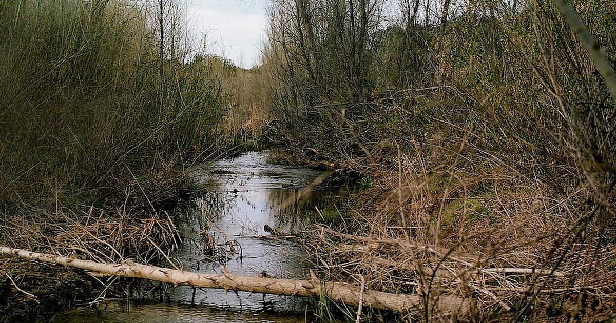 I Shoot Medium Format Film Medium Format What is it and Why use it?