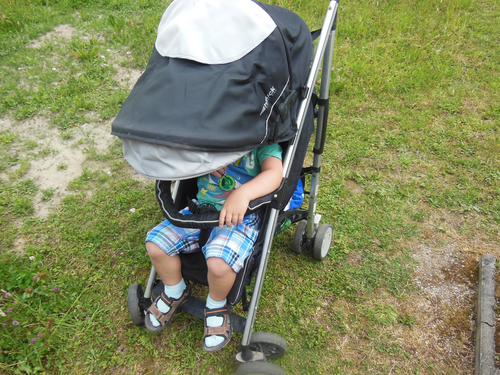 Der Kindergartenausflug Zum Haus Am Strom Untergriesbach