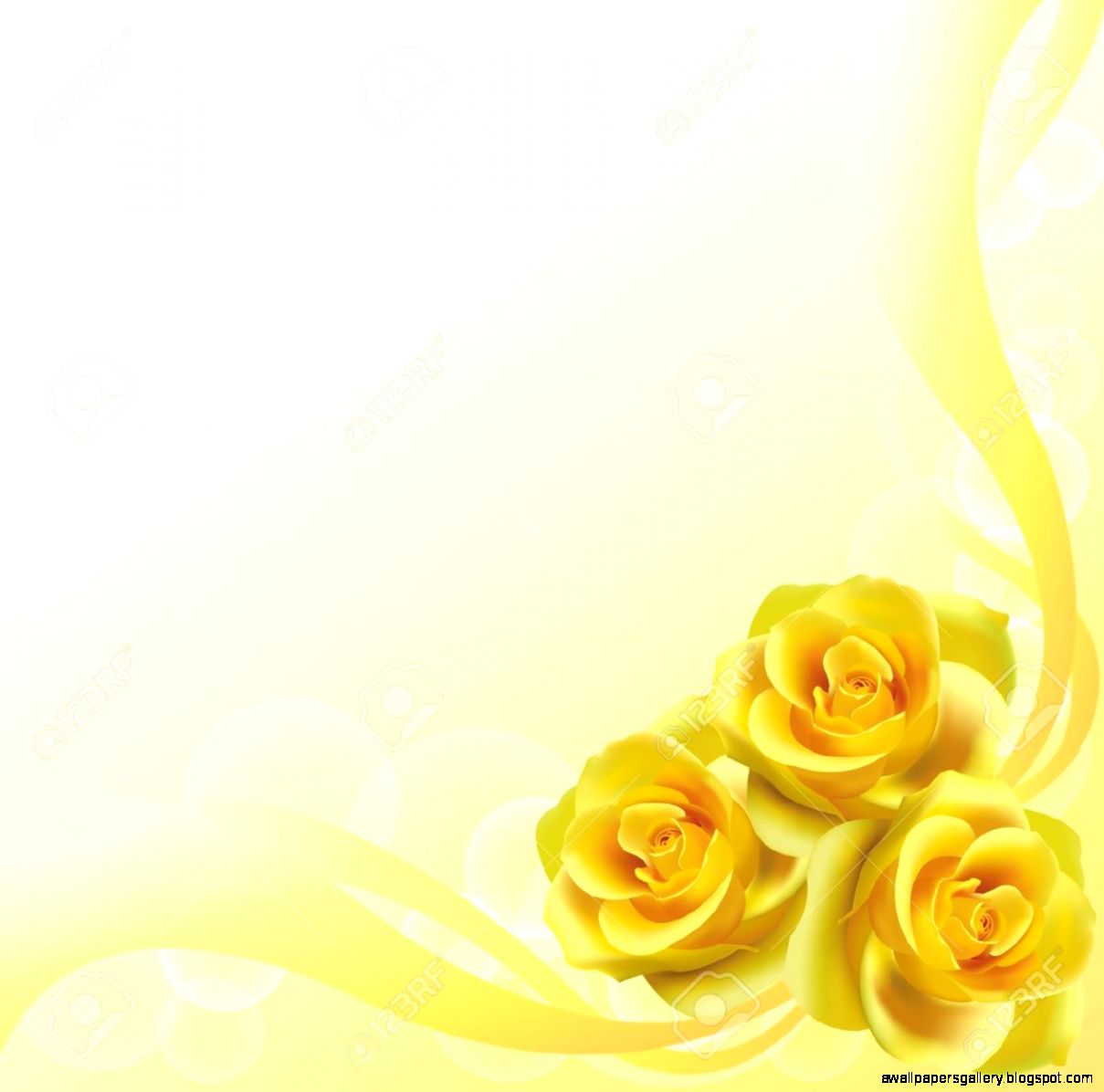 Yellow Rose Background