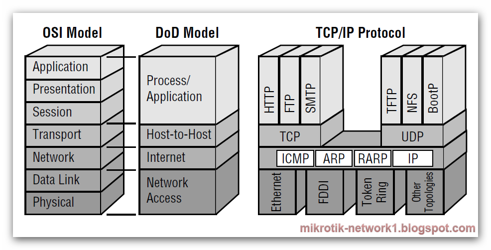TCP/IP and the OSI Model ~ Network Services