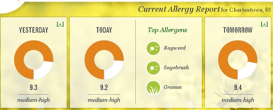 Progressive Charlestown: Sufferers of seasonal allergies getting hit by