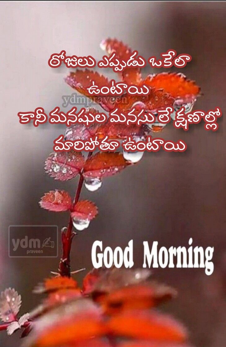 good morning images in telugu
