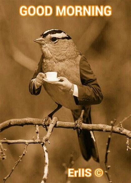 good morning images in telugu