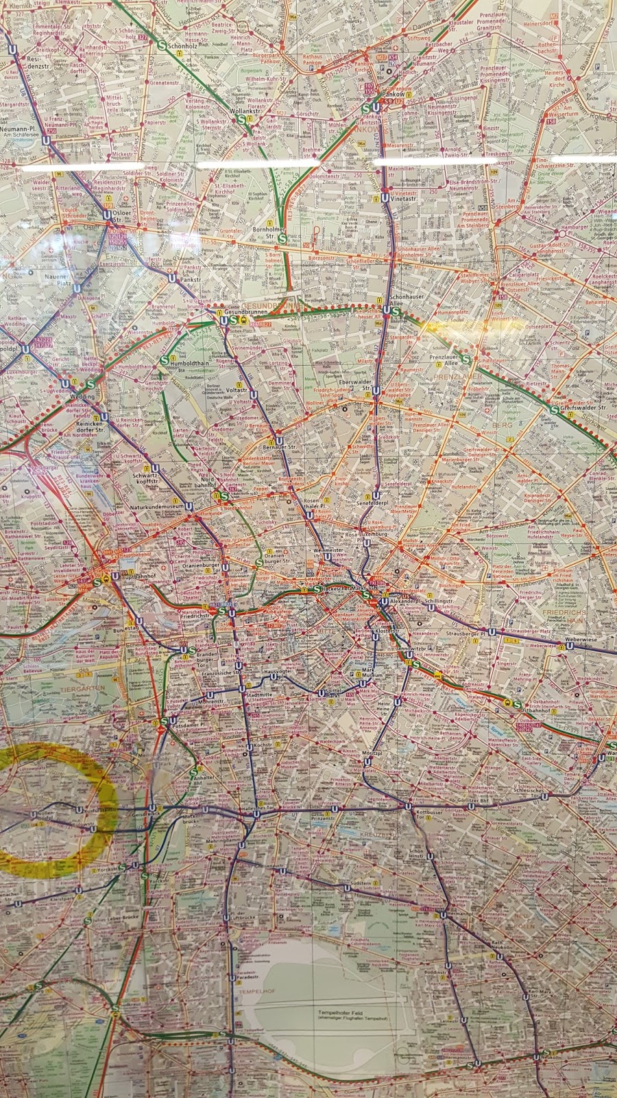 Megan S Buckeye Life Color Festival And Berlin Days 1 2