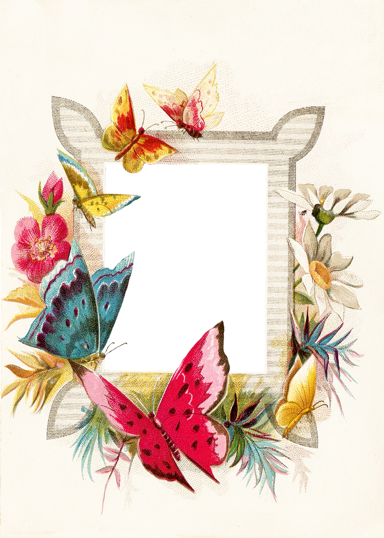 free vintage butterfly clipart - photo #30