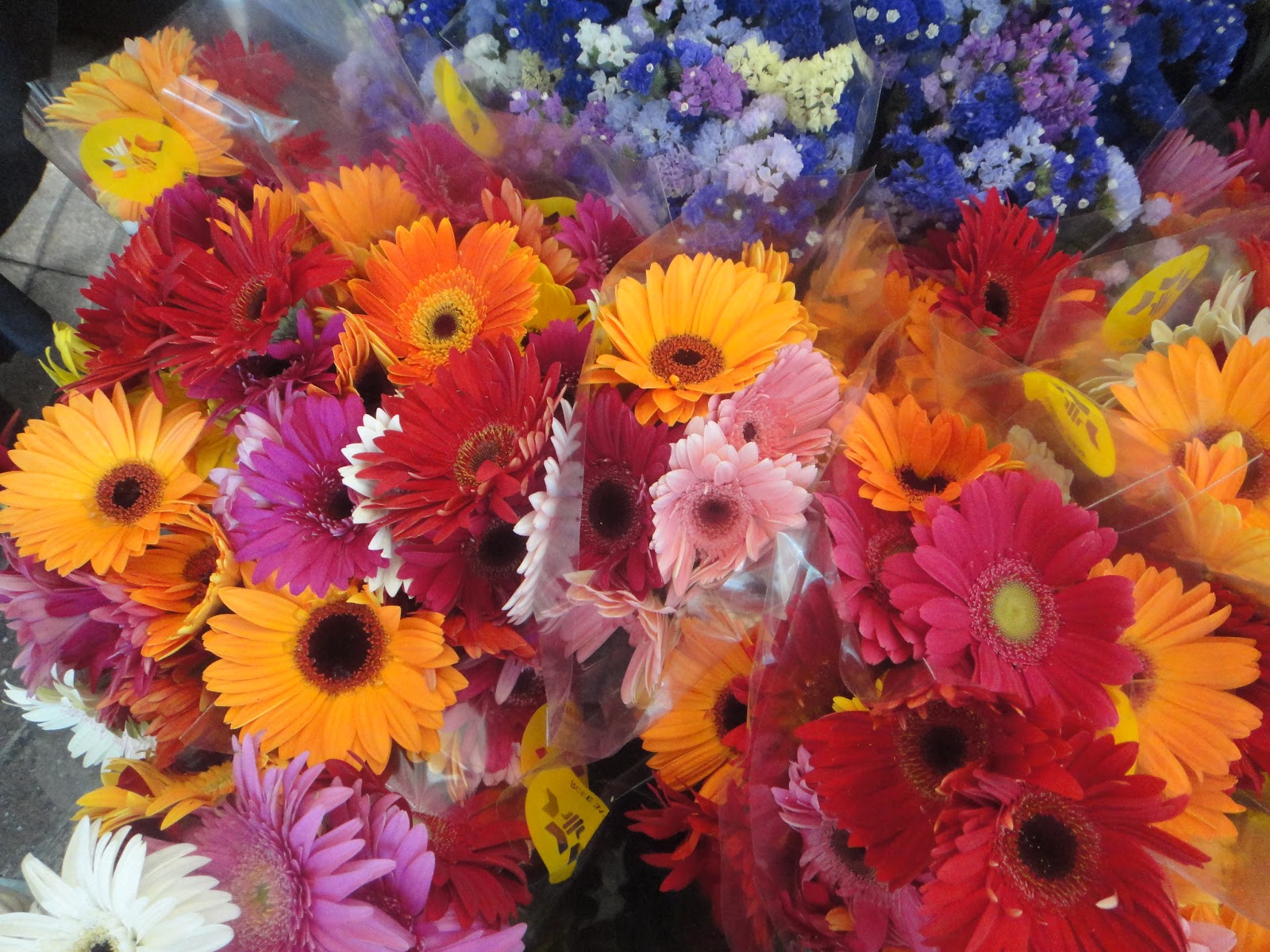 It All Appeals to Me FLOWERS in Europe