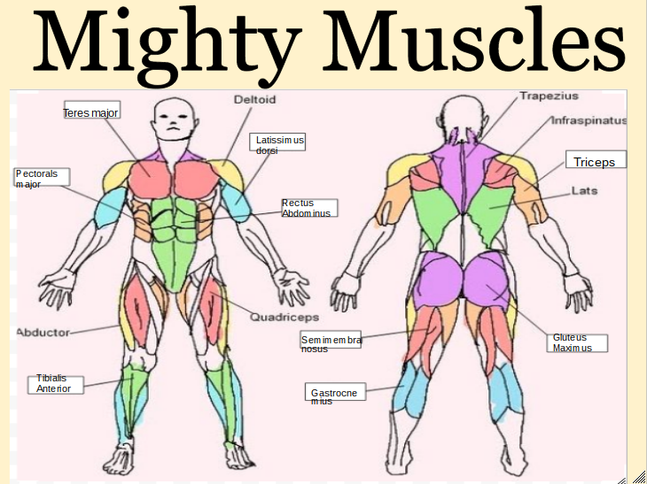 Nyree: Mighty Muscles