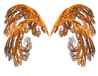 Stylish editors: Bird Wings Png