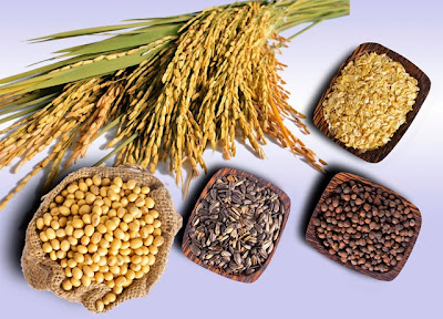 người phẫu thuật dạ dày nên ăn ngũ cốc người phẫu thuật dạ dày nên ăn ngũ cốc