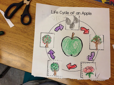 All about apples activity