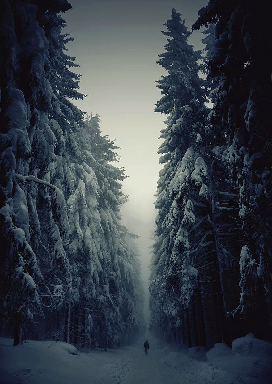 Musim Dingin Forest Path, Republik Ceko