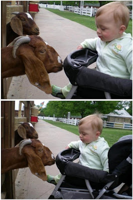 Croppola's Free, Automatic Photo Cropping Tool - Get suggestions for the best crop to improve your favorite snapshots.