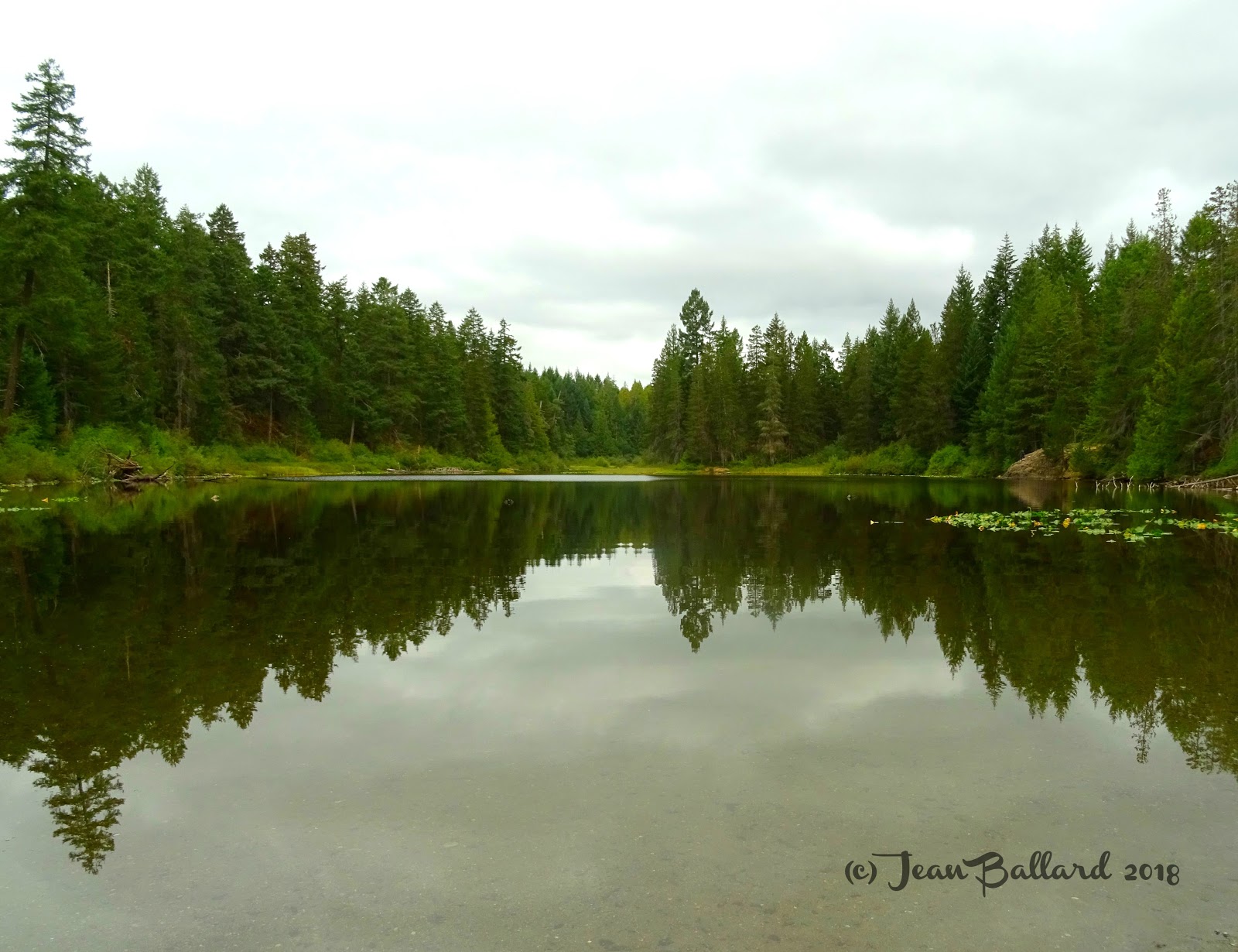 My life with the critters Spectacle Lake