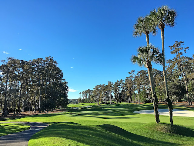#1 on the Stadium Course at TPC Sawgrass in Ponte Vedra, FL