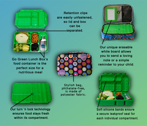 Go Green Lunch Box Review, bento school lunches