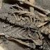 Γιγαντιαίοι σκελετοί με αποδεικτικά στοιχεία (Βίντεο)