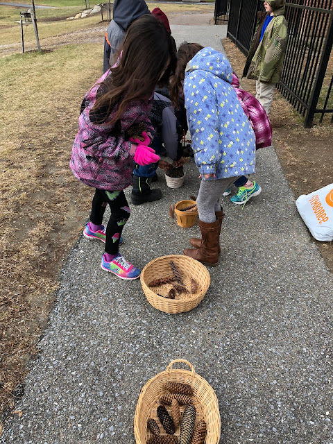 kids sorting cones