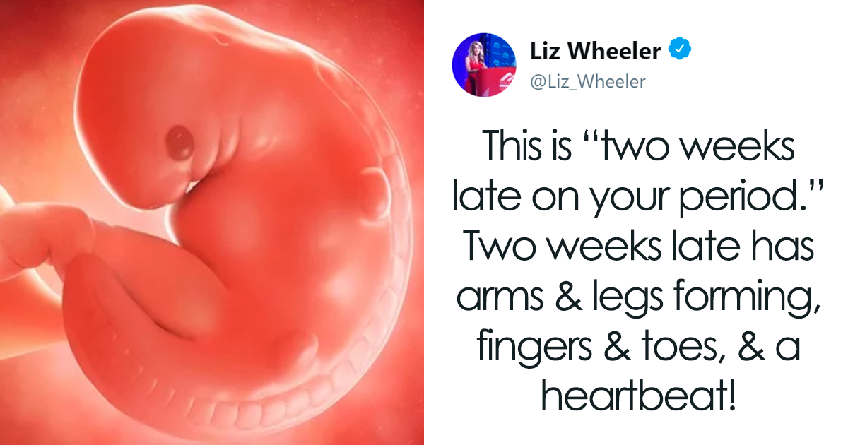 Pro-Choicer Shuts Down Pro-Lifer By Using Scientific Facts