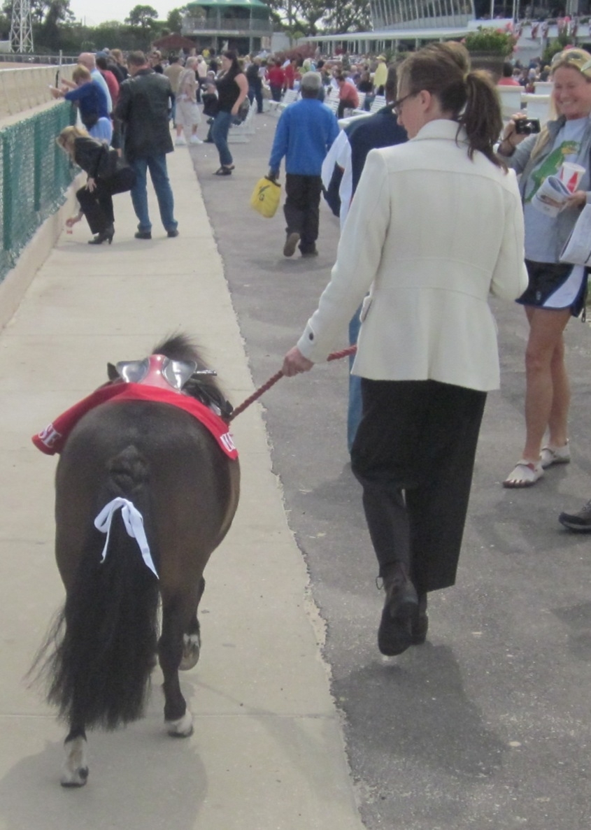 racing-in-the-sunshine