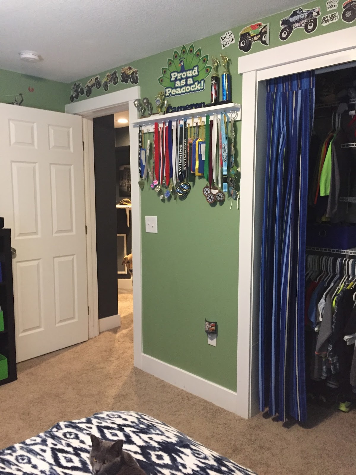 Decorating, Dishes, and Peacock's Organizing my 9 year olds room
