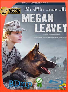 Megan Leavey (2017) Latino HD BDRIP 1080p​​ [GoogleDrive] SXGO