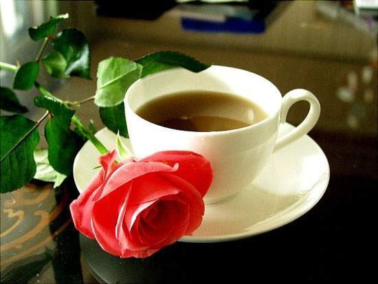 كبير مجموع العد  صور احلى فنجان قهوة مع الورد