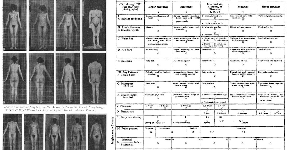 Iso kalu shemale vittuile kaveri kovaa