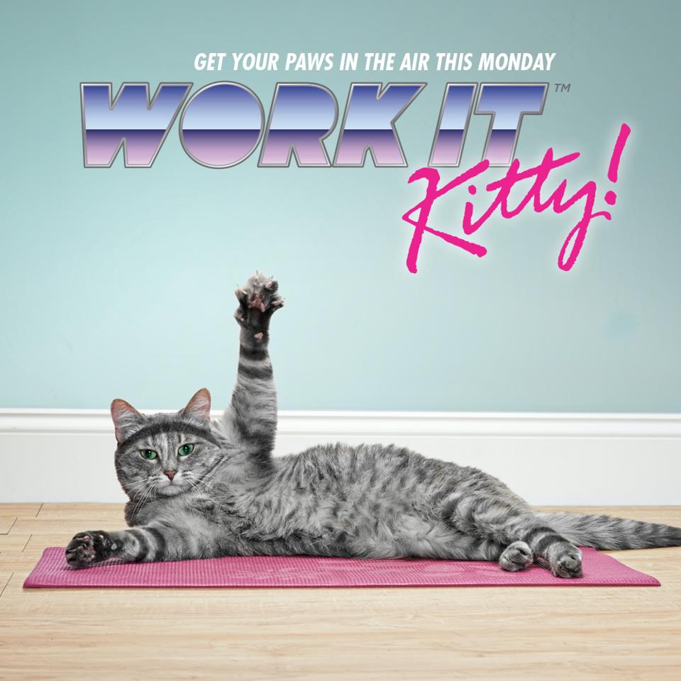 whiskas temptations bad for cats