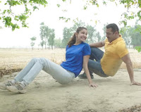 Sultan Sultan Box Office Collection, Sultan Collection